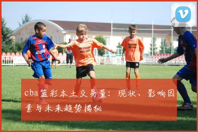 cba篮彩本土交易量：现状、影响因素与未来趋势揭秘