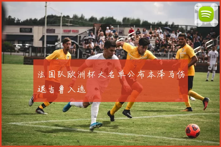 法国队欧洲杯大名单公布本泽马伤退吉鲁入选