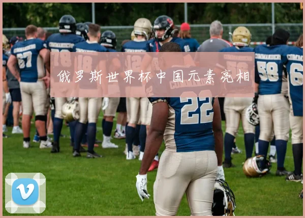 俄罗斯世界杯中国元素亮相