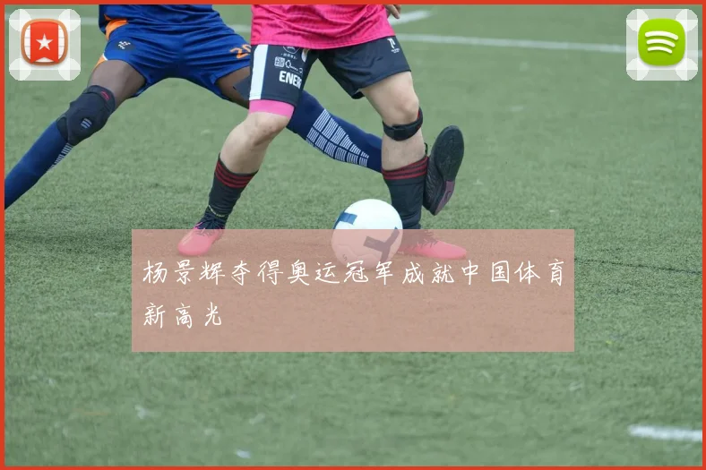杨景辉夺得奥运冠军成就中国体育新高光