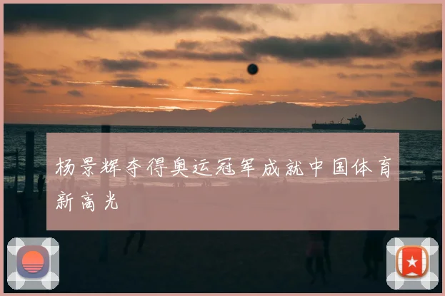 杨景辉夺得奥运冠军成就中国体育新高光